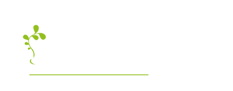 Ruzafa Singular Logo